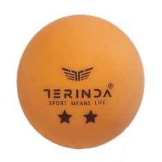 TERINDA Žogice za namizni tenis - Two star oranžna 1709