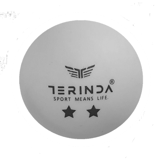 TERINDA Žogice za namizni tenis - Two star