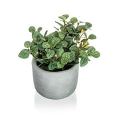 HOME DECOR DOM DEKOR Umetno cvetje v betonskem loncu EUCALYPTUS 19 x 18 cm