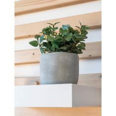 HOME DECOR DOM DEKOR Umetno cvetje v betonskem loncu EUCALYPTUS 19 x 18 cm