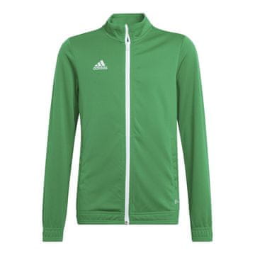 Adidas Športni pulover Entrada 22