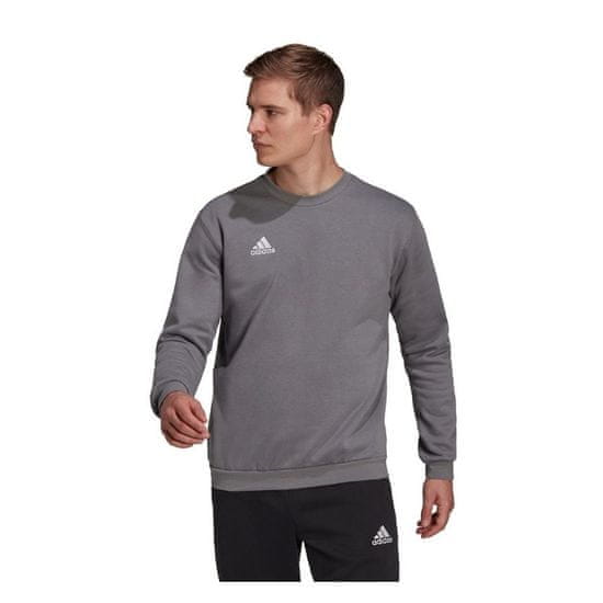 Adidas Športni pulover Entrada 22