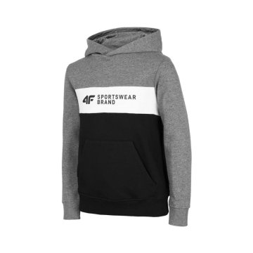 4F Športni pulover JBLM003