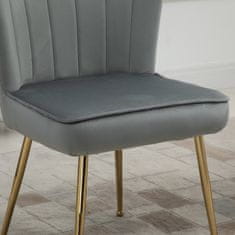 HOMCOM HOMCOM Komplet dveh sodobnih oblazinjenih stolov za dnevno sobo z oblazinjenjem z žametnim učinkom, 57x58x88 cm, siva