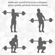 HOMCOM komplet uteži 20kg in diski 1,25kg 2,5kg 5kg jeklo tpu črno