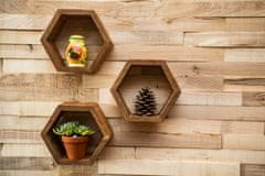 CAPOARTI® Minimalistične poličke HEXAGON OAK