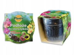 shumee Zemlja za orhideje z lončkom 0,65 l