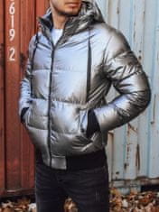 Dstreet Moška zimska jakna s kapuco Klemens srebrna 3XL