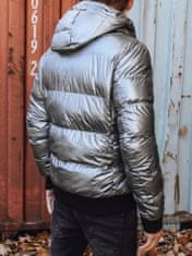 Dstreet Moška zimska jakna s kapuco Klemens srebrna 3XL