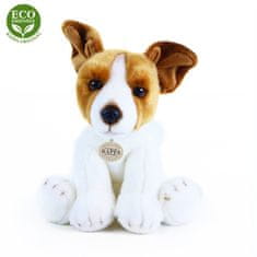 Rappa Plišasti Jack Russell terier, sedeči 26 cm EKOLOŠKO PRIJAZNO