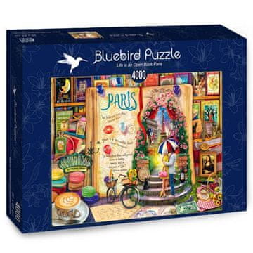 BLUEBIRD Puzzle Življenje kot odprta knjiga: Pariz 4000 kosov