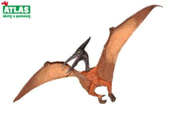 Dino C - Figurica Pteranodon 22 cm