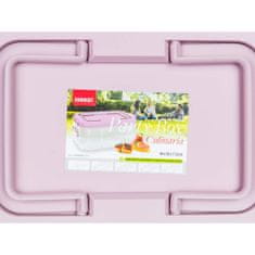 Banquet Zabavna škatla CULINARIA 40 x 28 x 17,8 cm, roza pokrov, komplet 4 kosov