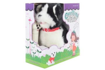 Pasji črno-beli na kablu