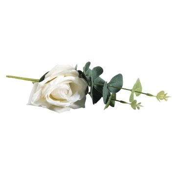 Rayher.	 Vrtnica z evkaliptusom, bela, 28cm