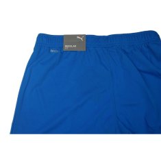 Puma Hlače obutev za trening modra 170 - 175 cm/S Teamrise