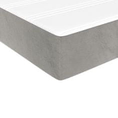 Vidaxl Box spring postelja z vzmetnico svetlo siva 200x200 cm žamet