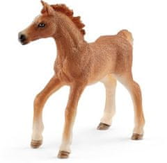 Schleich Žrebiček z odejo