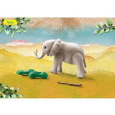 Playmobil MLAD SLON 71049, MLAD SLON 71049