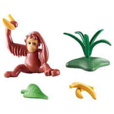 Playmobil MLADIČ ORANGUTANA 71074, MLADIČ ORANGUTANA 71074