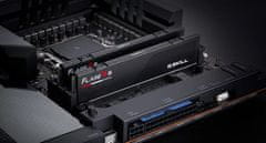 G.Skill Flare X5 RAM pomnilnik, 32 GB, 5200 MHz, DDR5, CL36, AMD Expo, 2 kos (F5-5200J3636C16GX2-FX5)