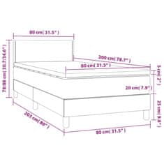 Vidaxl Box spring postelja z vzmetnico LED svetlo siva 80x200 cm blago