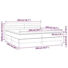 Vidaxl Box spring postelja z vzmetnico LED svetlo siva 200x200cm žamet