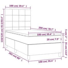 Vidaxl Box spring postelja z vzmetnico LED svetlo siva 100x200cm žamet