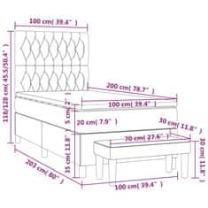 Vidaxl Box spring postelja z vzmetnico svetlo siva 100x200 cm žamet