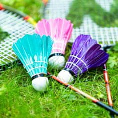 NILS NRZ204 Aluminium / Badminton Set + Cover