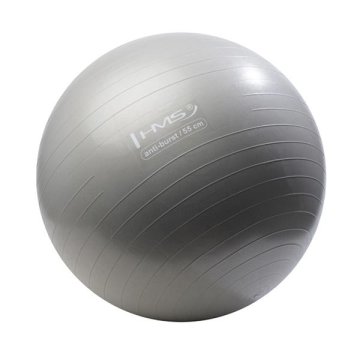 shumee YB02 55CM GRAFITNA GIMNASTIČNA ŽOGA ANTI-BURST HMS