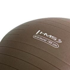 shumee GYM ŽOGA YB02 65CM GRIZZLY ANTI-BURST RJAVA HMS