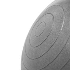 shumee YB02 55CM GRAFITNA GIMNASTIČNA ŽOGA ANTI-BURST HMS