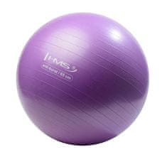 shumee YB02 65CM VIJOLIČNA ANTI-BURST GIMNASTIČNA ŽOGA HMS