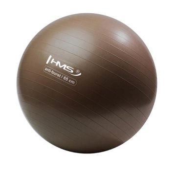 HMS YB02 65CM Grizzly Anti-Burst Brown Gymball
