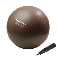 shumee GYM ŽOGA YB02 65CM GRIZZLY ANTI-BURST RJAVA HMS