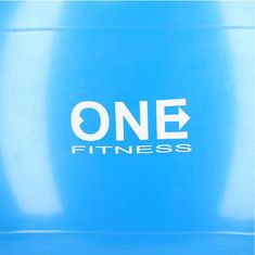 shumee GB10 55CM MODRA GYM ŽOGA 10 ONE FITNESS GYM BALL