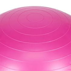 shumee GB10 55CM ROZA GYM ŽOGA 10 ONE FITNESS GYM BALL