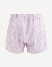 Celio Boksarice Dibistripe XL