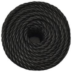Vidaxl Delovna vrv črna 10 mm 100 m polipropilen