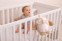 Cloud B Cloud b Nighty Night Owl Smart Sensor - Žival z melodijo - Owl