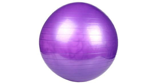 Merco Multipack 2 kosa Gymball 65 gimnastična žoga vijolična, 1 kos