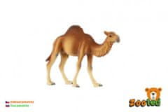 Enogrbata kamela zooted 13cm