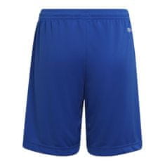 Adidas Hlače obutev za trening modra 111 - 116 cm Entrada 22