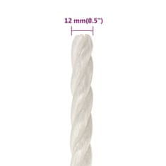 Vidaxl Delovna vrv bela 12 mm 100 m polipropilen
