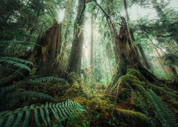 Ravensburger Sestavljanka V gozdu 1000 kosov