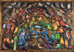 Ravensburger Puzzle Ptice sveta 1000 kosov
