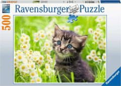 Ravensburger Puzzle Kitten on the meadow 500 kosov