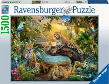 Ravensburger Puzzle Savana 1500 kosov