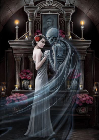 Art puzzle Puzzle Anne Stokes Zbirka: Za vedno 1000 kosov